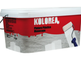 PEINTURE PLASTIQUE MONOCOUCHE BLANCHE