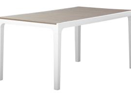 TABLE D'HARMONIE EN RÉSINE